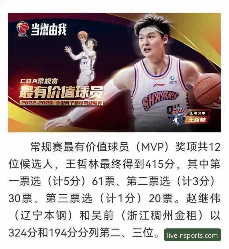 揭秘王哲林14年磨一剑：从常规赛MVP到总决赛首冠的蜕变真相