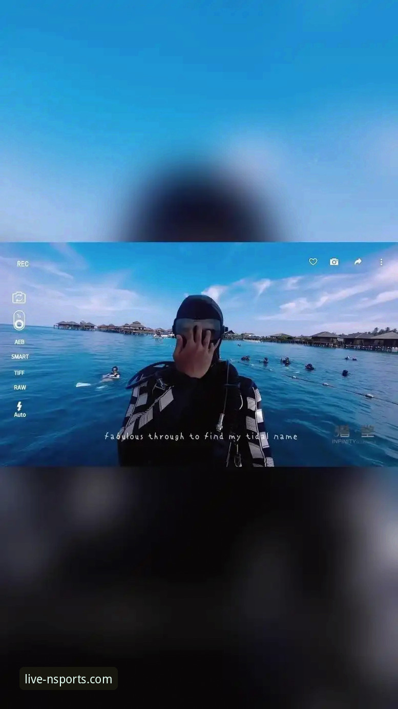 n体育客户端下载全面解析：从获取到登录的完整指南与深度体验